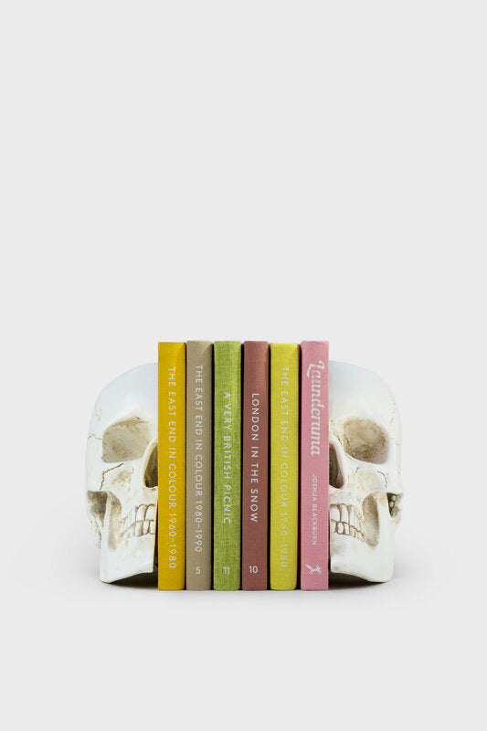 Skull Bookends