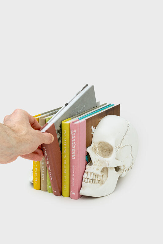 Skull Bookends