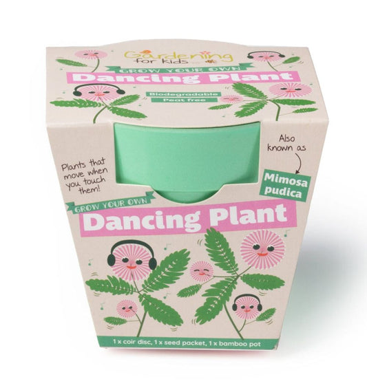 Dancing Plant Grow Kit