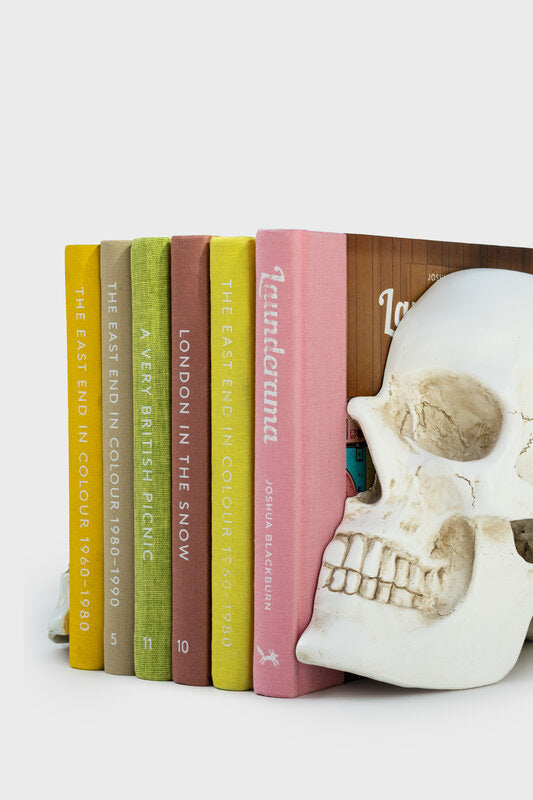 Skull Bookends