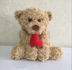 Valentine Heart Plush Teddy (25cm)